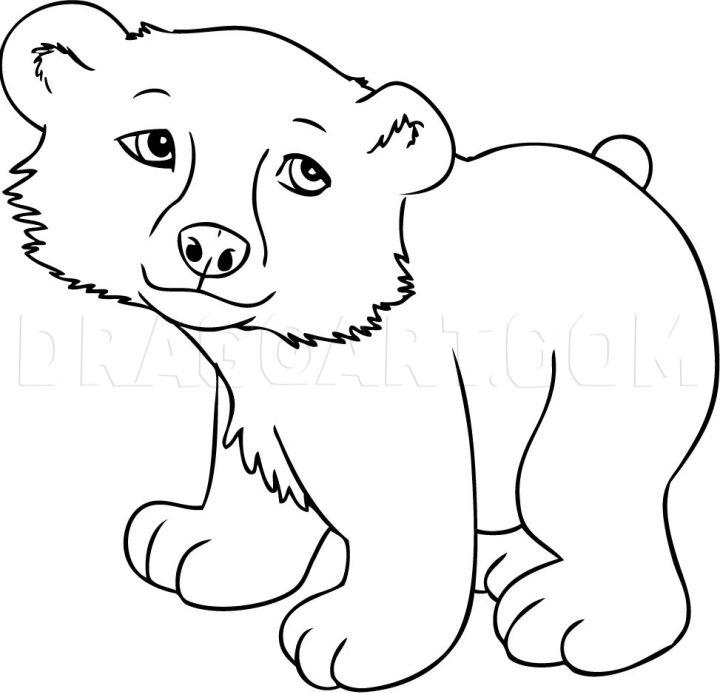 How to Draw a Cartoon Polar Bear
