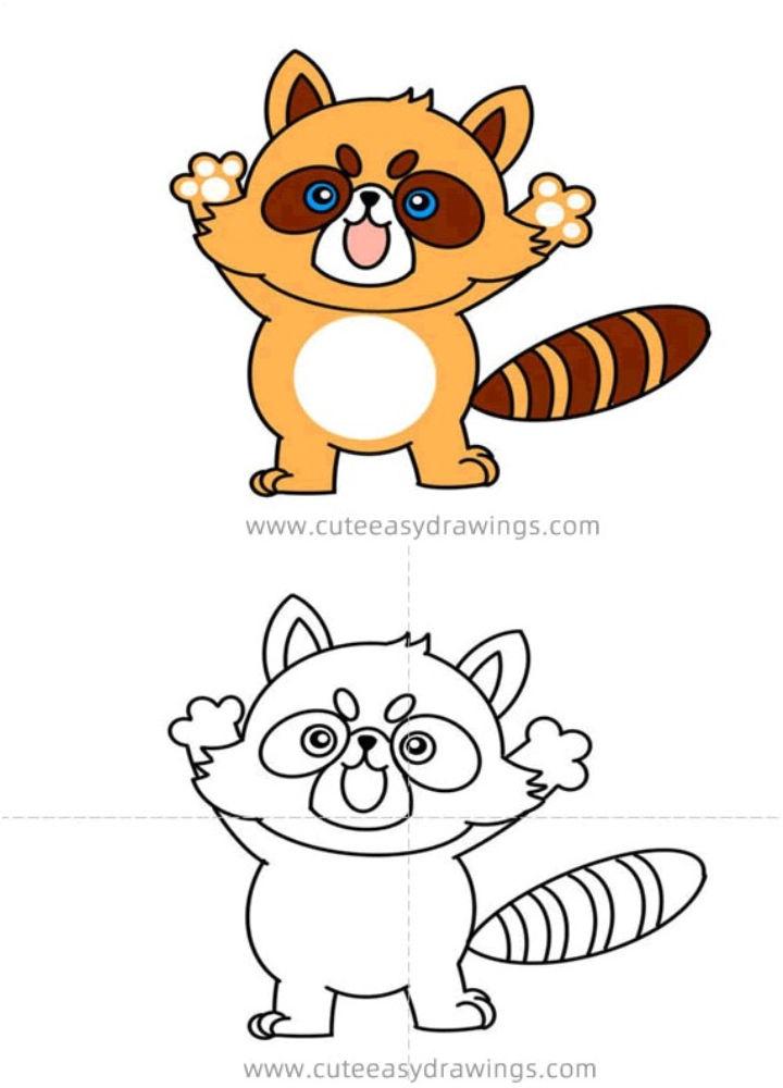 How to Draw a Cartoon Raccoon