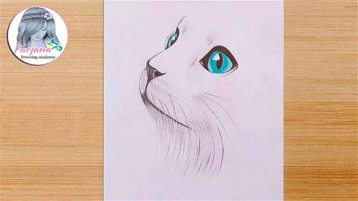 How to Draw a Cat Face Step by Step