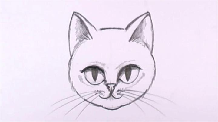How to Draw a Cat Face in Pencil
