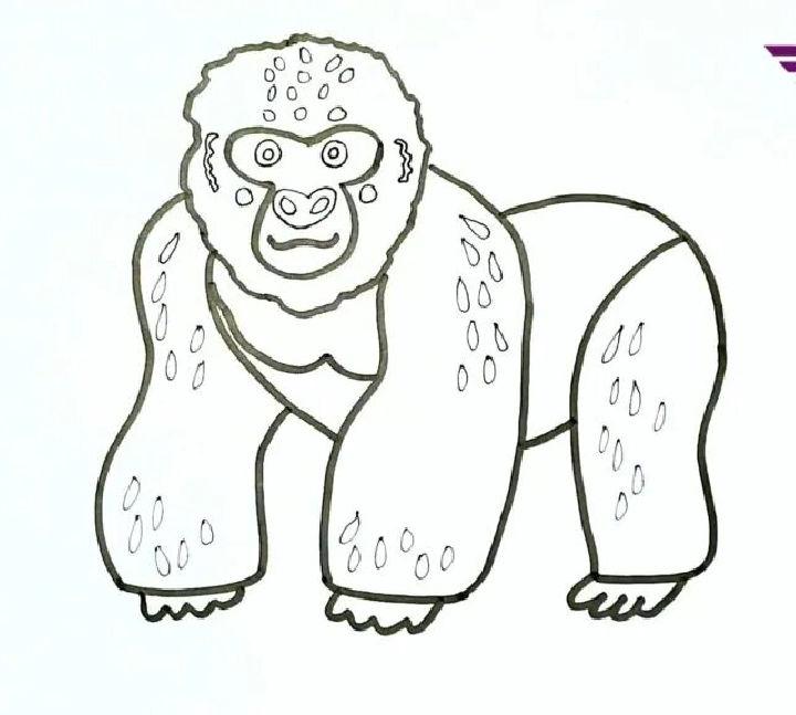 How to Draw a Cute Gorilla