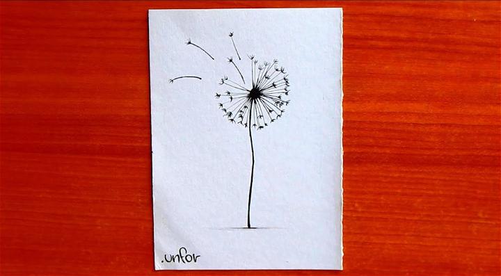 How to Draw a Dandelion Flower