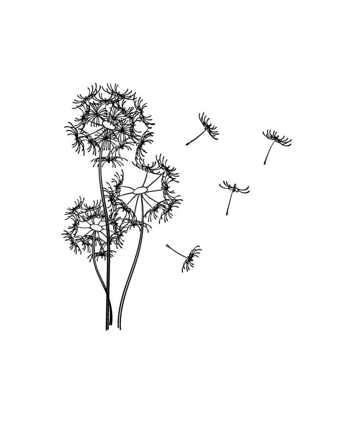 How to Draw a Dandelion Step by Step