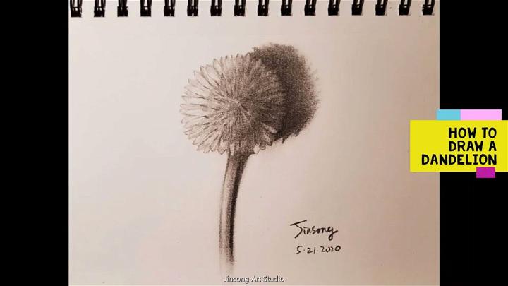How to Draw a Dandelion with Pencils