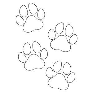 25 Easy Paw Print Drawing Ideas - How to Draw