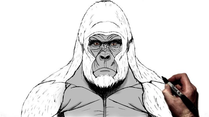 How to Draw a Gorilla 