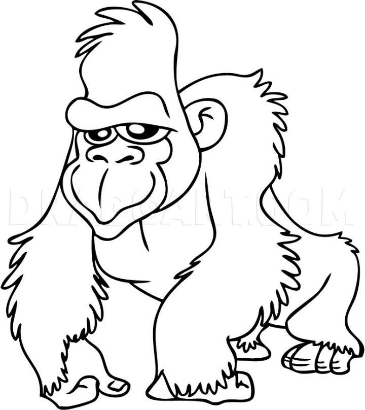 How to Draw a Gorilla