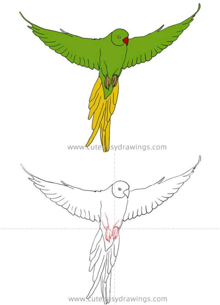 How to Draw a Green Parrot Flying