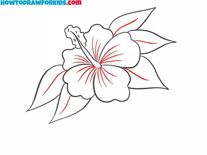 Learn How To Draw A Hibiscus Easy Step By Step Drawin 7249