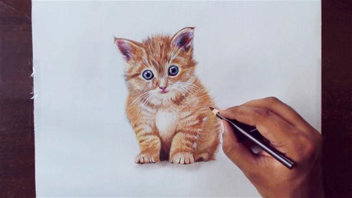 How to Draw a Kitten