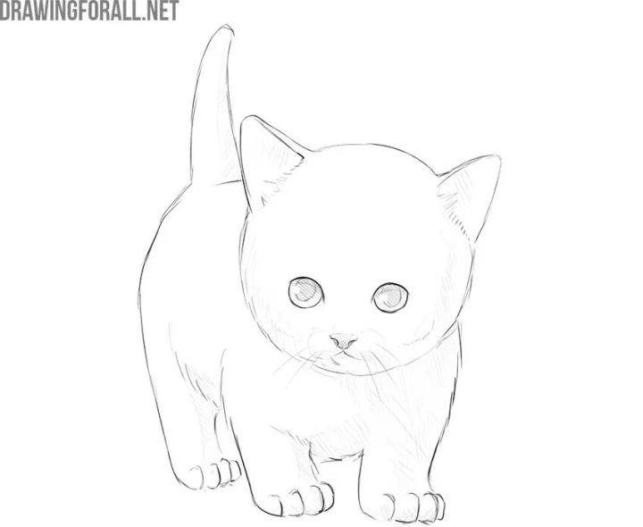 A CUTE CAT DRAWING ❤️ | TikTok