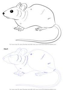 25 Easy Mouse Drawing Ideas - How to Draw a Mouse