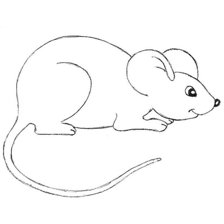 How to Draw a Mouse - A Beginner's Mouse Drawing Tutorial