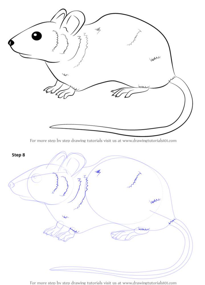 How to Draw a Mouse