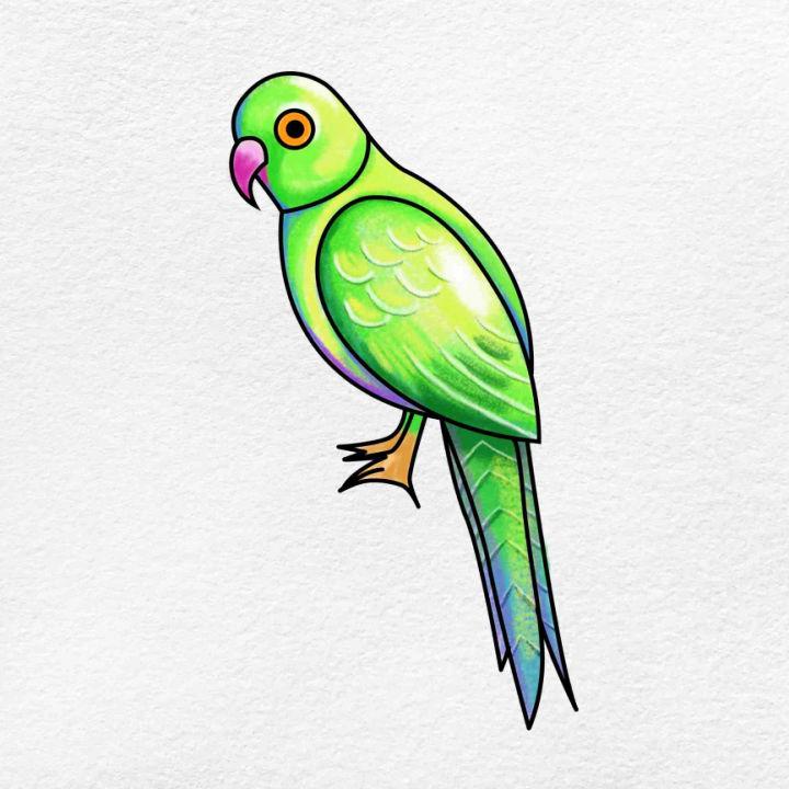 Top 71+ easy parrot sketch latest - seven.edu.vn