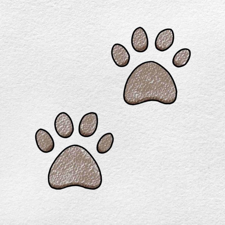 How to Draw a Paw Print