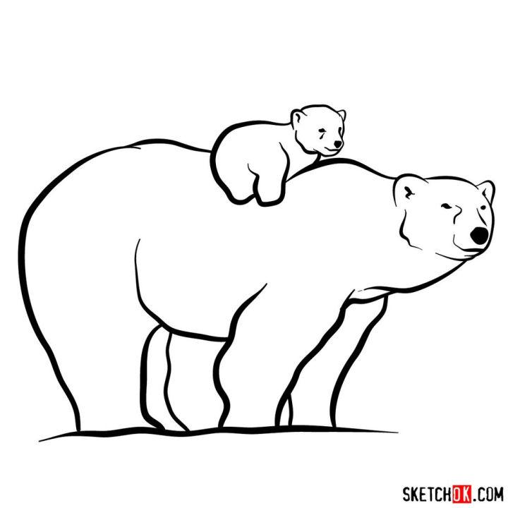 How to Draw a Polar Bear Mom with Baby Bear