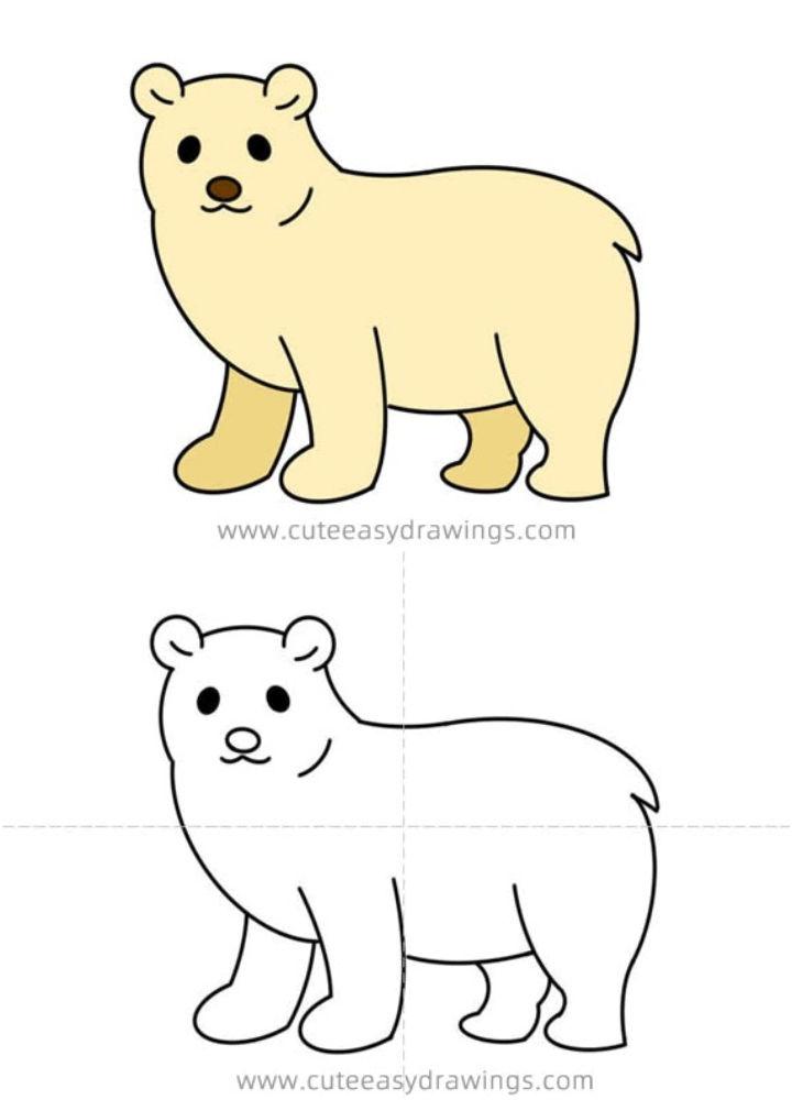 How to Draw a Polar Bear - Draw a Cute and Cuddly Polar Bear