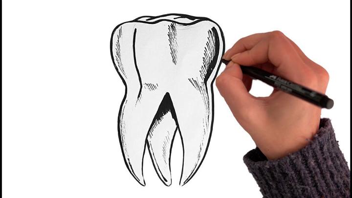 How to Draw a Realistic Tooth