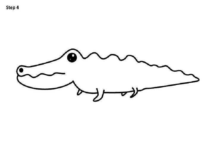 alligator drawing kids