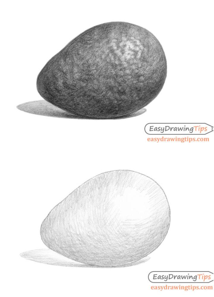 How to Draw an Avocado