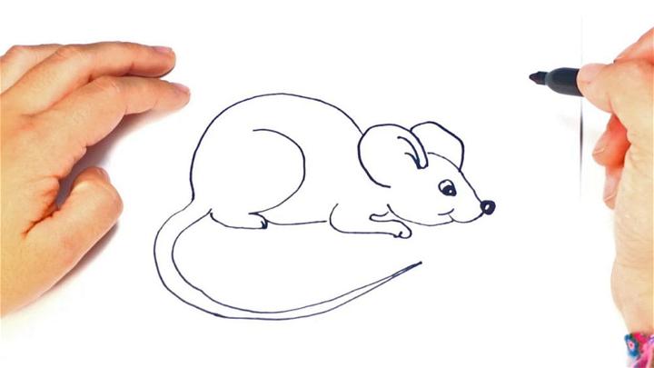 Little Mouse Sketch Drawing