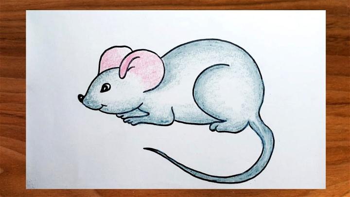 Mouse Drawing for Beginners