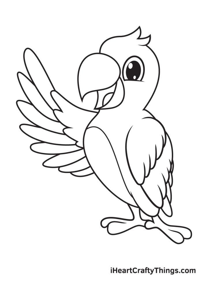 Parrot Drawing in Just 9 Easy Steps