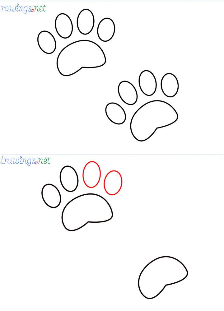 How to Draw a Cat Paw Print 