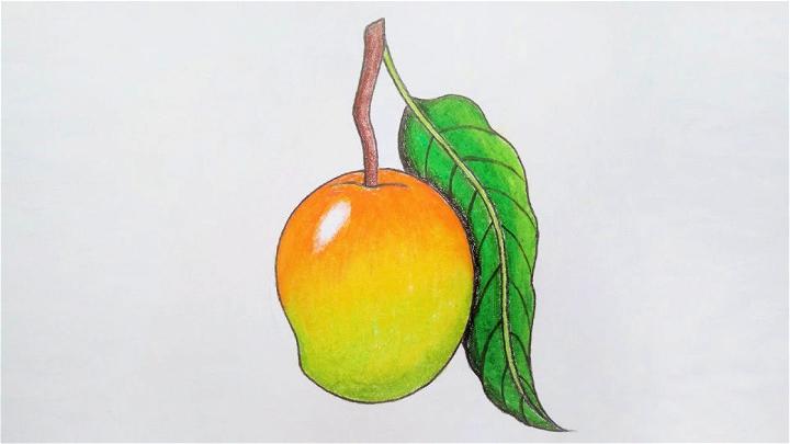 Pencil Mango Drawing