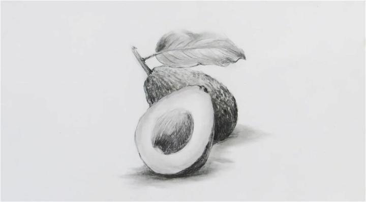 Pencil Sketch Avocado Drawing