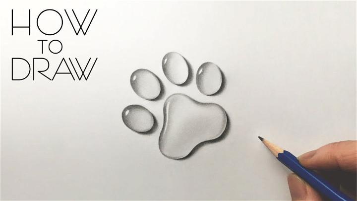 Pencil Sketch Dog Paw for Beginners