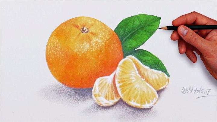 Realistic Orange Drawing