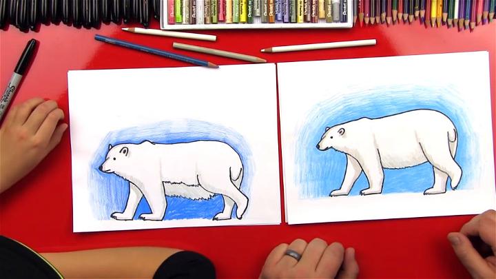 Realistic Polar Bear Drawing