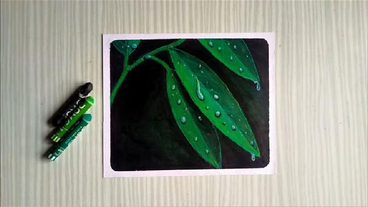 Realistic Water Drops on Leaves Drawing