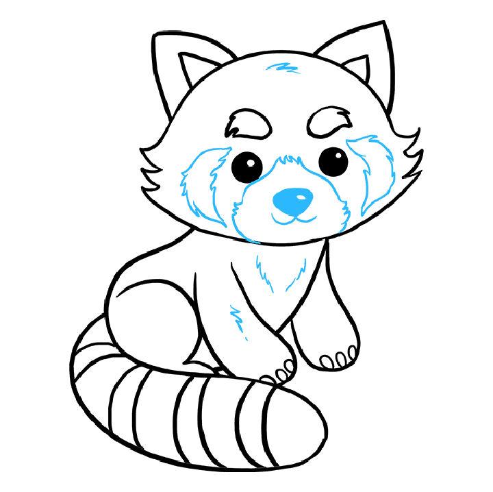 Red Panda Drawing Chibi