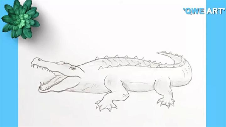 Simple Alligator Drawing for Kids and Beginners