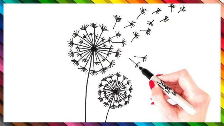 Simple Dandelion Drawing