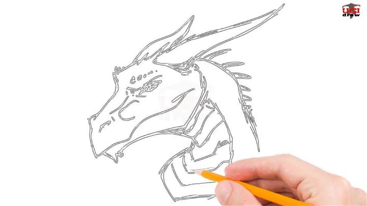 Dragon Head Drawing Step by Step