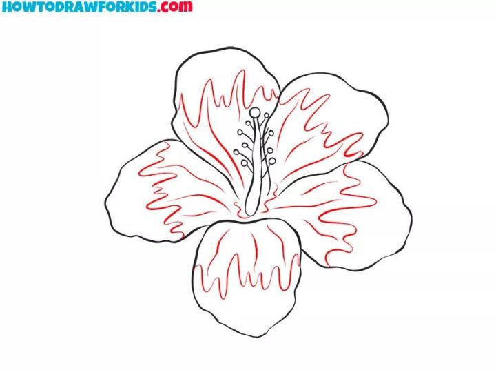Simple Hibiscus Flower Drawing