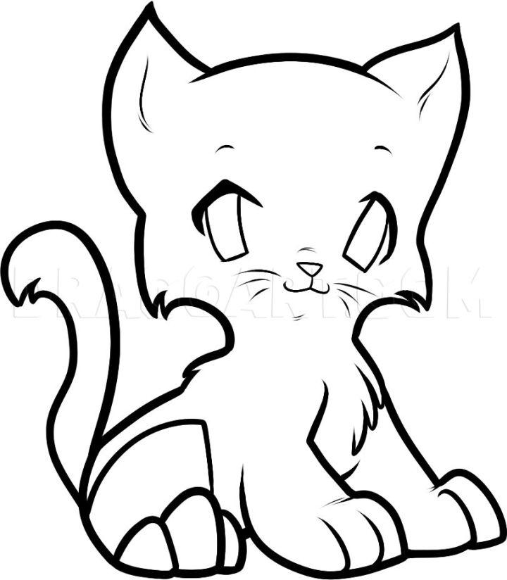 Simple Anime Kitten Drawing