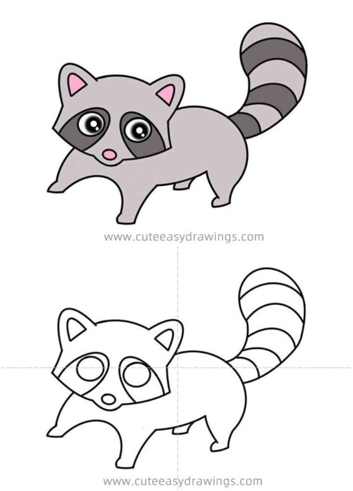 Cute Raccoon Drawing Easy