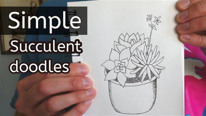 Simple Succulent Drawing