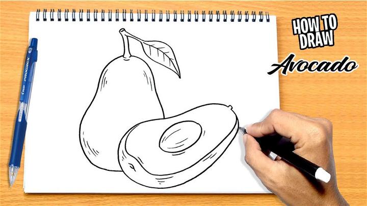 Simple Way to Draw a Avocado