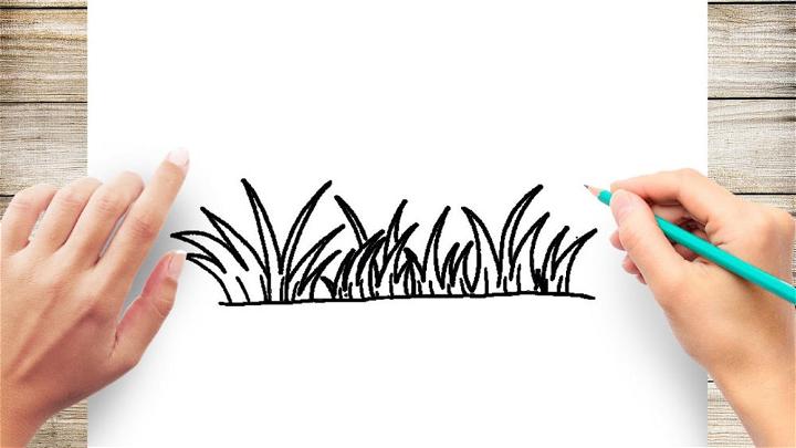 Simple Way to Draw a Grass