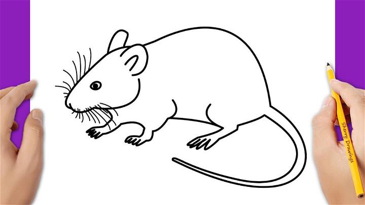 Simple Way to Draw a Mouse