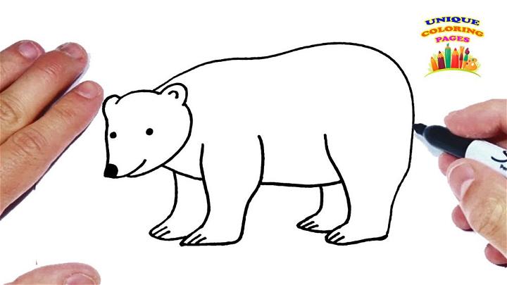 Simple Way to a Draw Polar Bear