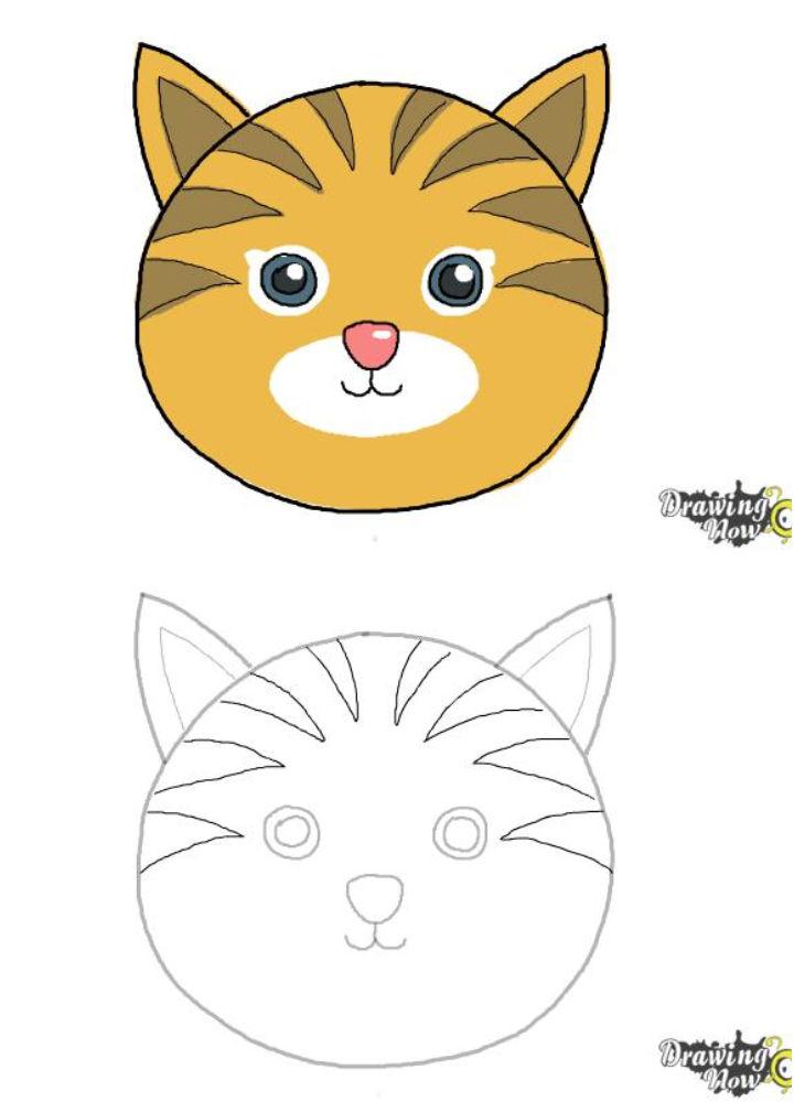 Simple and Easy Cat Face Drawing