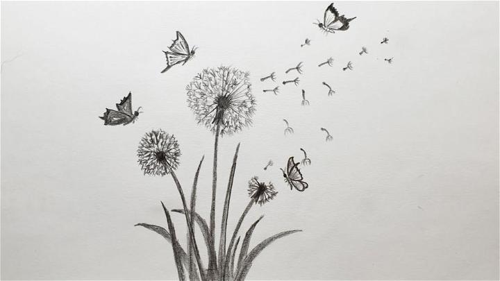 Sketch Dandelion Drawing