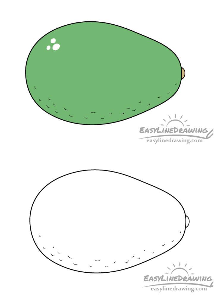 Small Avocado Drawing